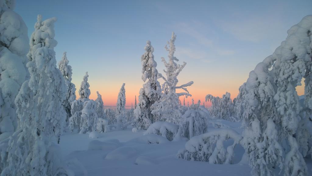 Kelotaehti Apartments Saariselkä Zimmer foto